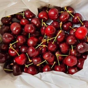 체리제철 겨울 생체리 칠레 왕체리 4kg, 1개