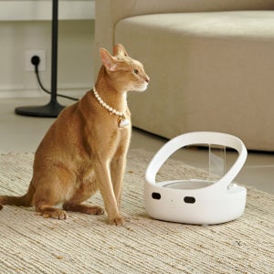 페페 1:1 매칭 RFID 자동급식기 강아지 고양이 다둥이 다묘가정