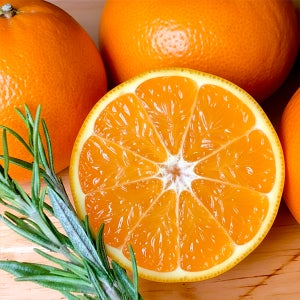 제주 비가림 고당도 노지 조생 꼬마 하우스 타이백 감귤 제철과일