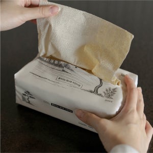 담이연 뽑아쓰는 대나무 천연펄프 키친타월 먼지없는 무형광 무표백 키친타올 100매, 9팩