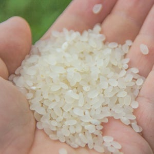 25년 햅쌀 지리산 산청 유기농 백미 추청벼 10kg, 1개