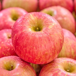 농가살리기 초특가 못난이 경북 꿀부사 총 8kg