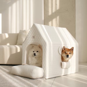 초코펫 중형견 대형견 실내 강아지집 에브리데이하우스 3.0 특대형