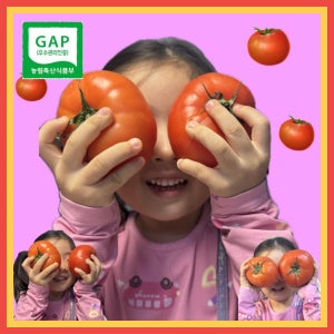 [유럽종] 프리미엄 어메이징 완숙토마토 2kg 5kg 혼합과 대과 중과 소과