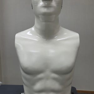 SPEAG EM-Phantom 전자파흡수율 측정 인체 더미모형 스마트폰 전파 안전성 테스트