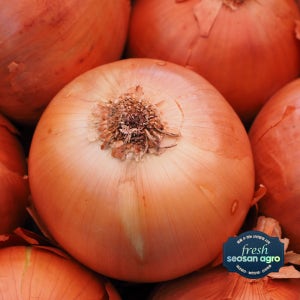 [프레시서산아그로] 국내산 햇양파 중(70~130g) 양파 10kg, 1개