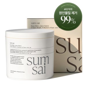 탈취제 고체 화장실 냄새 제거 실내탈취제 SS01 300g, 1개
