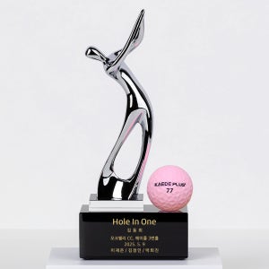 홀인원패 이글패 싱글패 골프트로피 언더파 싸이클버디 기념패 D001크롬 HoleInOne