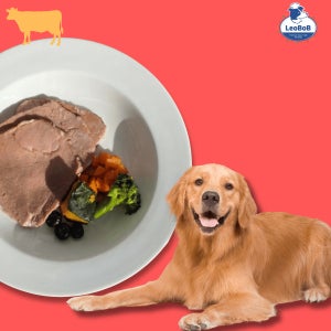 레오밥 견생만찬 소고기정찬 수제 수비드 화식 사료 심장건강 노화방지 자연식 눈물 알러지케어