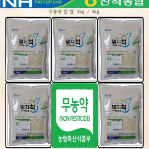 무농약 찹쌀 농협 3kg 5kg 2025년산