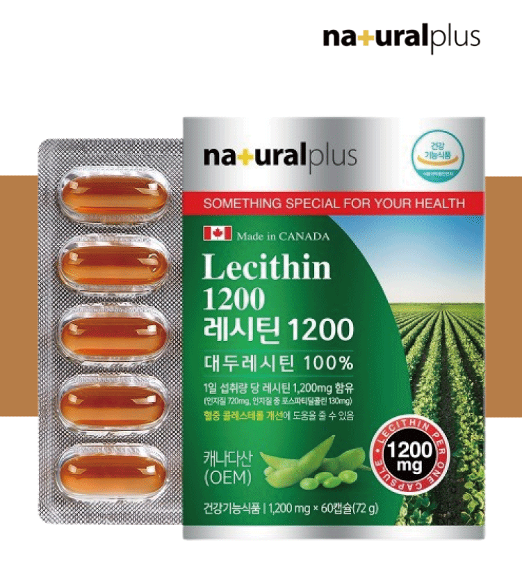 HDL LDL 콜레스테롤 개선 도움 레시틴 효능 약2개월