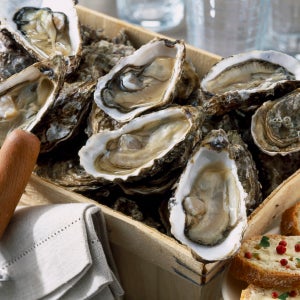 산지직송 통영 생굴 제철 굴 하프쉘 1kg 25미내외 2kg