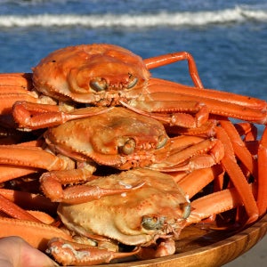 모들농수산 산지직송 국산 제철 홍게 연지홍게 대게 박달 자숙 붉은 포항 구룡포