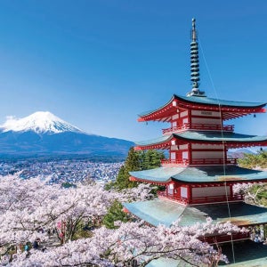 후지산 가와구치코 프라이빗 일일투어 전용차량