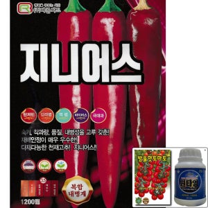 지니어스 1200립 복합내병계 조생 터널 조생종 고추 씨앗 숙기 빠름 극대과 바른