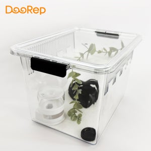 두렙 클리어뷰 케이지 사육장 중형 / 크레스티드 크리스티드 게코 크레 도마뱀 집꾸미기