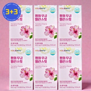 홀리데이즈 평화 무궁 밸런스 핏 프리미엄 무궁화 꽃 60정 6병