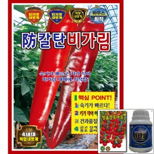 방칼탄비가림 1200립 복합내병계 조생 터널 조생종 고추 씨앗 숙기 빠름 극대과 KS