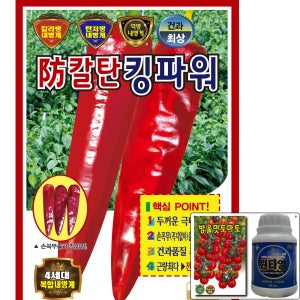방칼탄킹파워 1200립 복합 내병계 조생 터널 조생 고추 씨앗 숙기 빠름 극대과 KS