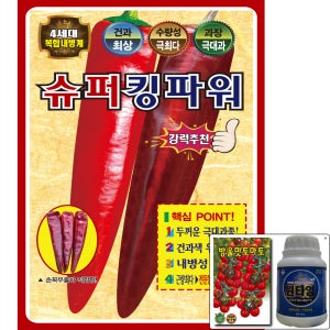 슈퍼킹파워 1200립 복합 내병계 조생 터널 조생 고추 씨앗 숙기 빠름 극대과 KS