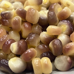 강원도 정선 흑찰옥수수 찐 냉동 알맹이 구름다알콘 1kg