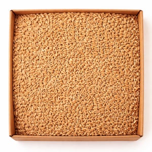 이탈리아 고대곡물 앰머밀 파로 10kg, 1개