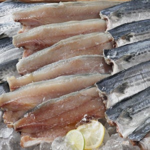 남해안 여수수협 손질 삼치 15필렛 20필렛/등푸른 생선 팔뚝삼치/ 개별진공포장