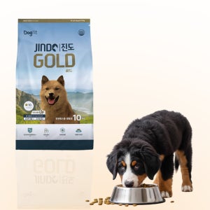 중대형견 도그랑 진도골드 전연령용 영양균형 건식사료 가수분해닭, 10kg, 1개