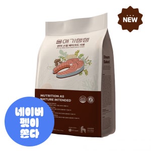 울애기쌩쌩 강아지 프리미엄 연어 스팀베이크드 수제사료 (눈, 피부, 관절, 체중조절), 1kg, 1개
