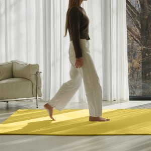 호이데코 코지 단모 러그 워셔블 200x300