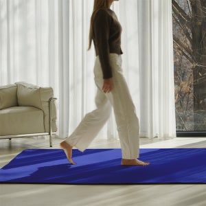 호이데코 코지 단모 러그 워셔블 200x300