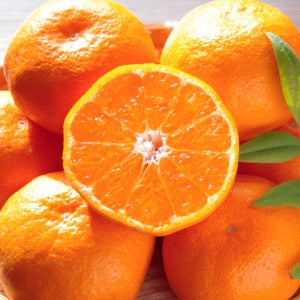 농업기술명인 타이벡감귤 타이백 감귤 5kg 10kg 제주 노지 귤 조생귤 제주도 서귀포