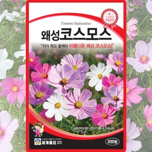 왜성코스모스 씨앗 200립 적색 핑크 흰색 혼합 꽃씨 종자