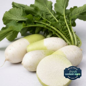 [프레시서산아그로]국내산 무청제거 천수무 다발무 김장용 1단