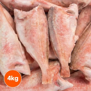 손질 두절 볼락 4kg 적어 열기 빨간고기 장문볼락 업소용