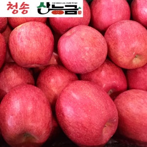 경북 청송 부사 얼음골 꿀사과 산능금 가정용 못난이 3kg 5kg
