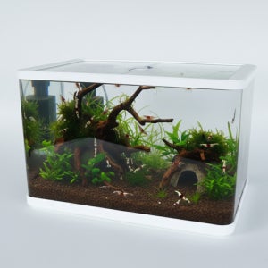 안깨지는 튼튼한 어항 YB-37 화이트 37x20x21cm