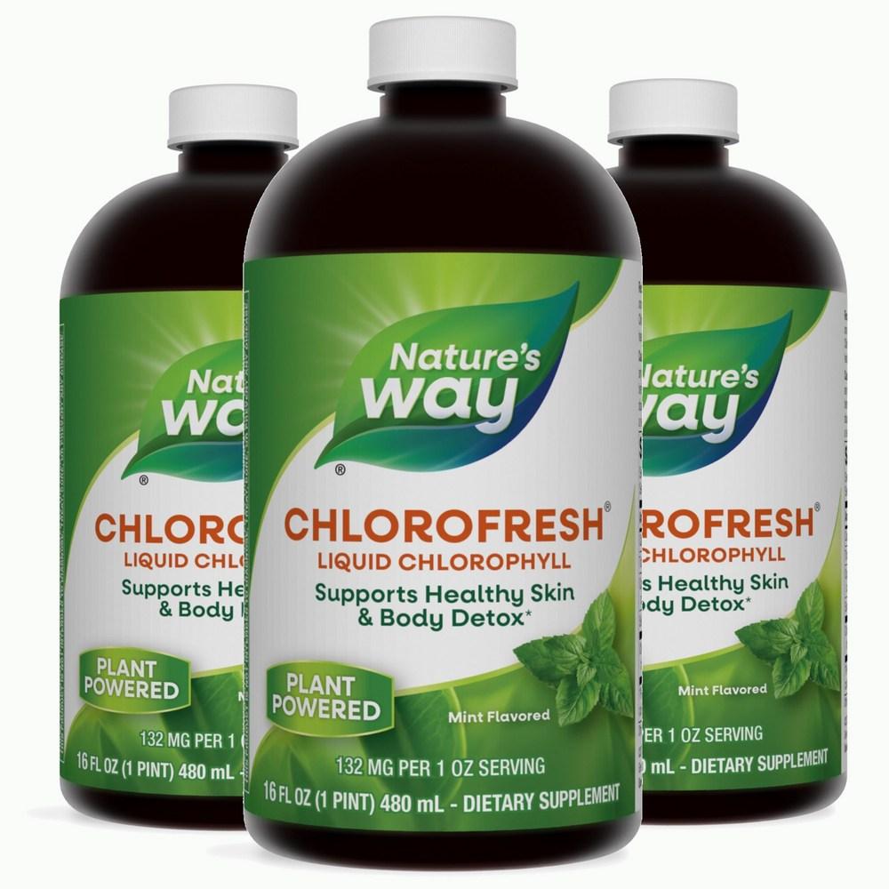네이쳐스웨이 클로로필 내츄럴 <b>클로로프레쉬 리퀴드 민트</b> 3개 473.2ml