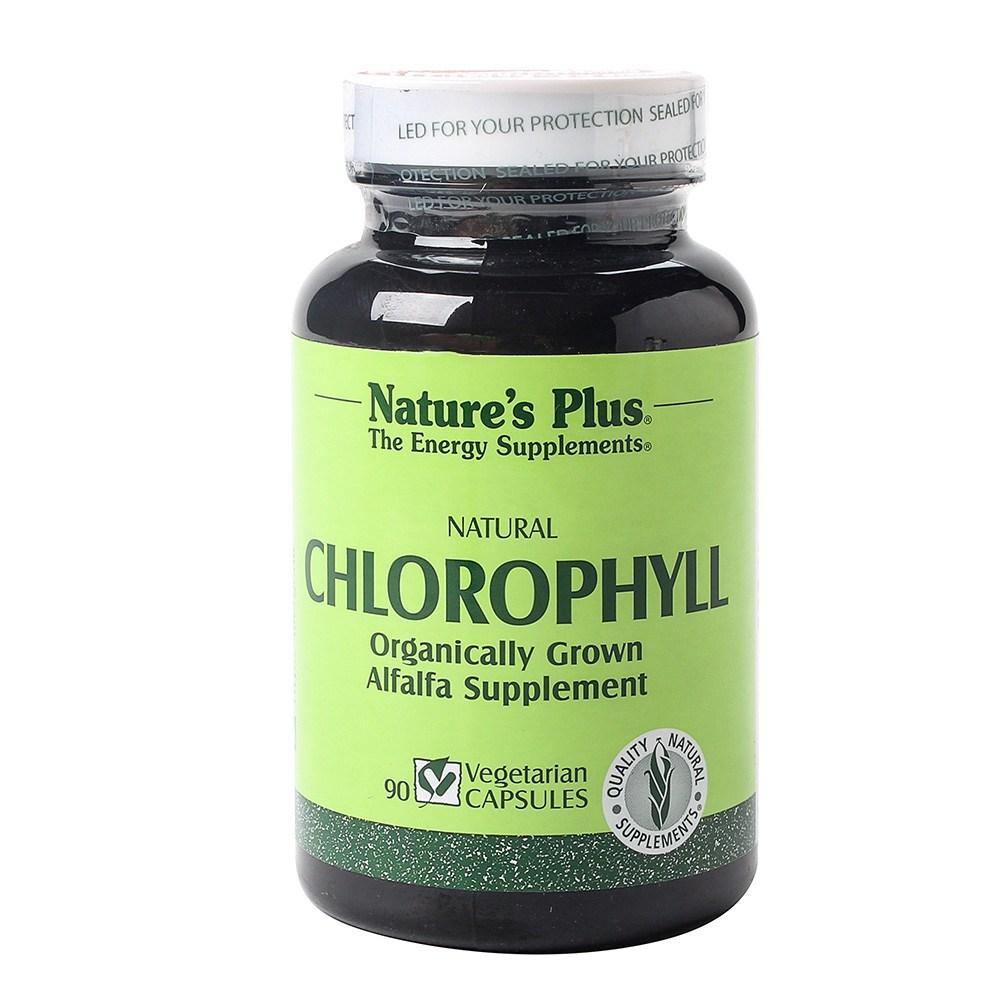 <b>네이처스</b>플러스 내츄럴 클로로필 90정