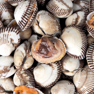 꼬막제철 벌교 여자만 새꼬막 산지직송 대, 6kg, 1개