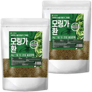 모링가환 1kg, 2개