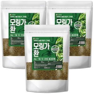 모링가환 1kg, 3개