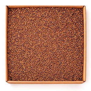 국내산 볶은 결명자 10kg, 1개