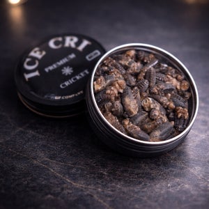 냉동 귀뚜라미 아이스크리 소10g 약180마리 냉뚜리 도마뱀 먹이 파충류 크레스티드게코