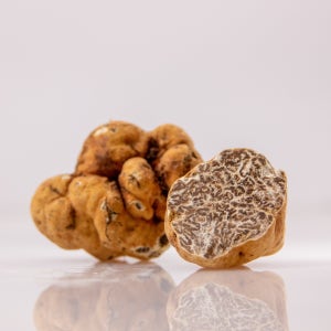 [비앙케토] 화이트 트러플 20g 이탈리아 움브리아