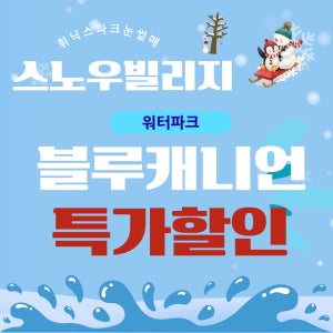 평창 휘닉스파크 블루캐니언 워터파크 스노우빌리지 이용권 당일사용가능