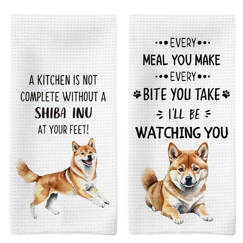 시바견 (Shiba Inu)