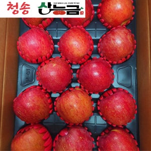 경북 부사 청송 얼음골 꿀사과 산능금 선물용 가정용 5키로 10키로