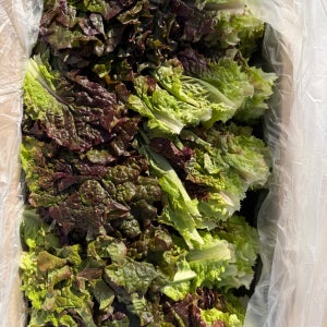 [푸드빌리지] 싱싱한 적상추 특품 4kg