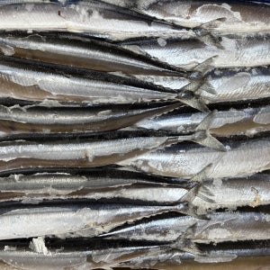 꽁치 9kg 1번 벌크 업소용 식자재마트
